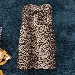 Cheers to this Cheeta!